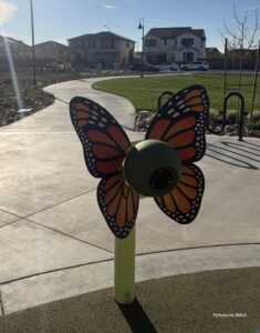 Landscaped Structures custom Butterfly Chatter Noodle®